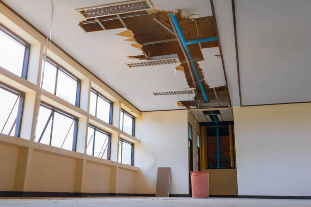 Best Basement water damage restoration  in Kent, OH