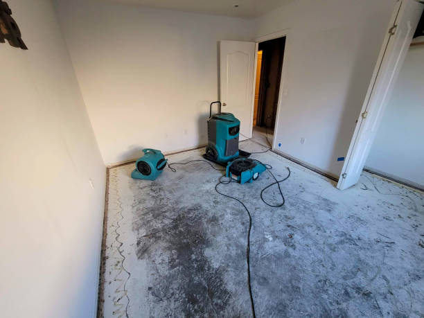 Best Mold removal after water damage  in Kent, OH