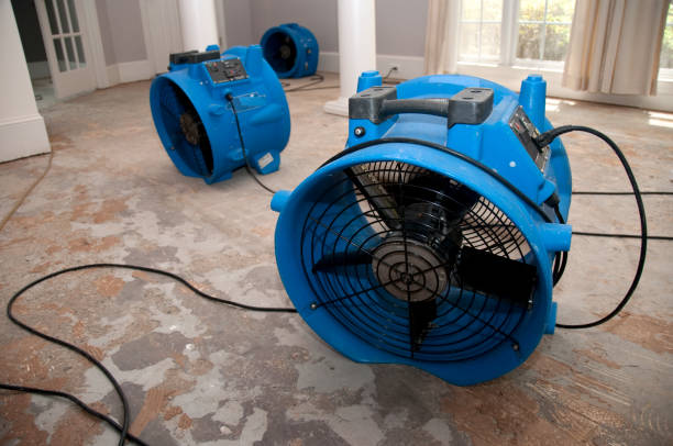 Best Water damage restoration process  in Kent, OH