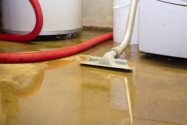  Kent, OH Water damage restoration Pros