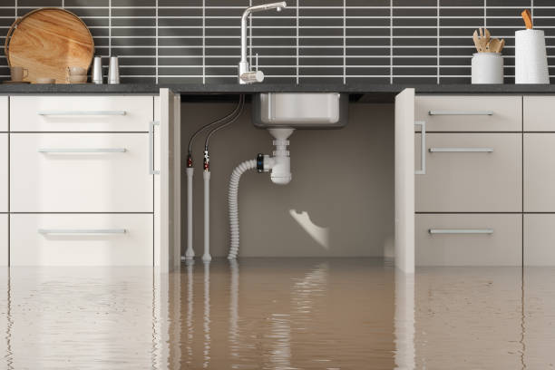 Best Flood damage cleanup  in Kent, OH